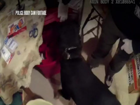 Interrogation Raw S02E03 480p x264-mSD EZTV