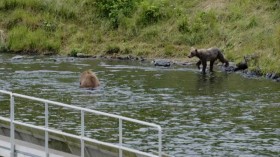 Into Alaska S01E04 The Mountain Goat Quest WEBRip x264-CAFFEiNE EZTV