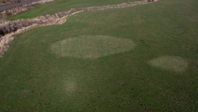 Investigation Alien S01E01 1080p WEB H264-SPAMnEGGS EZTV