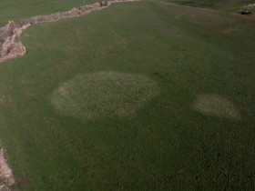 Investigation Alien S01E01 480p x264-mSD EZTV