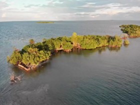 Island Hunters S05E02 To Buy or to Build in Belize 480p x264-mSD EZTV