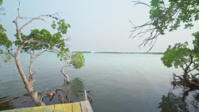 Island Hunters S05E11 Beachin Belize WEB x264-CAFFEiNE EZTV