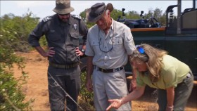 Jack Hannas Into the Wild S13E01 Addo Elephant National Park 720p HDTV x264-CRiMSON EZTV
