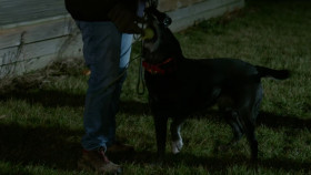 Jack Osbournes Night of Terror S01E04 1080p HEVC x265-MeGusta EZTV