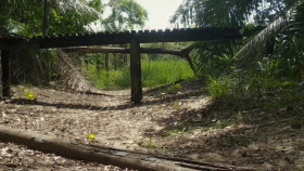 Jaguar Journals S01E02 1080p HEVC x265-MeGusta EZTV