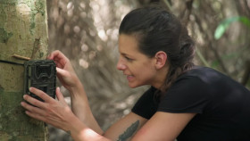 Jaguar Journals S01E02 1080p WEB h264-EDITH EZTV