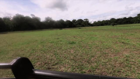 Jaguar Journals S01E03 XviD-AFG EZTV