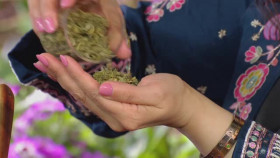 James Martins Saturday Morning S07E22 XviD-AFG EZTV