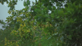 Jamie What to Eat This Week S01E03 1080p HEVC x265-MeGusta EZTV