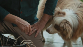 Jamie What To Eat This Week S02E02 1080p WEB H264-CBFM EZTV