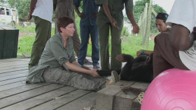 Jane Goodalls Chimp Sanctuary S01E03 1080p WEB h264-POPPYCOCK EZTV