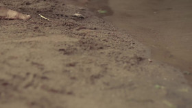 Jesus Crown of Thorns S01E04 1080p WEBRip x264-BAE EZTV