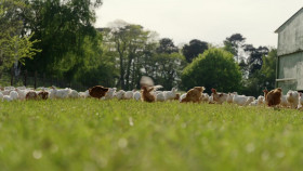 Jimmy And Shivis Farmhouse Breakfast S01E06 720p WEB H264-SKYFiRE EZTV