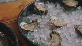 Jimmys Taste of Florida S01E01 XviD-AFG EZTV