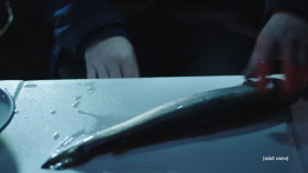 Joe Pera Talks With You S03E02 1080p HEVC x265-MeGusta EZTV