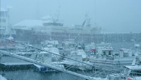 John Bishops Great Whale Rescue S01E02 1080p HDTV H264-DARKFLiX EZTV