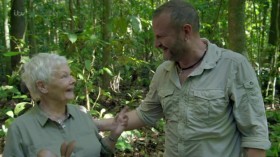 Judi Denchs Wild Borneo Adventure S01E01 HDTV x264-PLUTONiUM EZTV