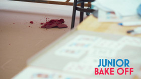 Junior Bake Off S10E06 1080p HDTV H264-DARKFLiX EZTV