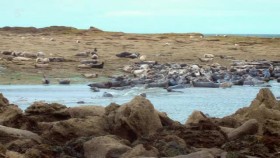 Kate Humbles Coastal Britain S01E02 XviD-AFG EZTV