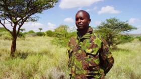 Kenya Wildlife Diaries S01E01 Haven of the Giants 1080p WEB h264-CAFFEiNE EZTV