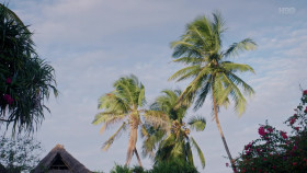 King of Zanzibar S01E03 1080p WEB H264-XME EZTV