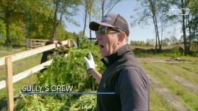 Kings Of Kush S01E08 WEBRip x264-BAE EZTV