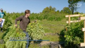 Kings Of Kush S01E08 XviD-AFG EZTV