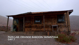 Kings of Pain S02E02 720p WEB h264-BAE EZTV