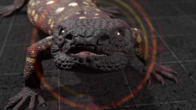 Kings of Pain S02E03 720p WEB h264-BAE EZTV