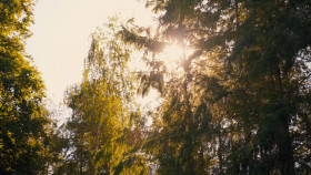 Kings Of The Wood S01E06 1080p WEB h264-B2B EZTV