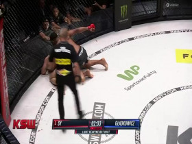 KSW 72 2022 07 23 Romanowski vs Grzebyk 480p x264-mSD EZTV