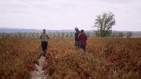 La Frontera with Pati Jinich S02E03 XviD-AFG EZTV