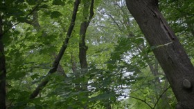 La Pecheresse S01E04 MULTi 1080p WEB H264-MACK4 EZTV