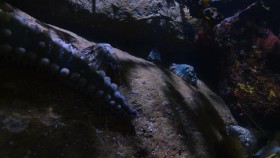 La Terre La Nuit S01E04 MULTi 1080p WEB H264-N3TFL1X EZTV