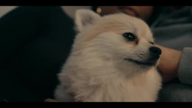 LALIGA All Access S01E05 XviD-AFG EZTV