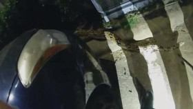 Late Night Lockup S02E01 XviD-AFG EZTV