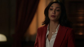 Law and Order S24E11 The Hardest Thing 720p HEVC x265-MeGusta EZTV