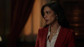 Law and Order S24E11 The Hardest Thing XviD-AFG EZTV