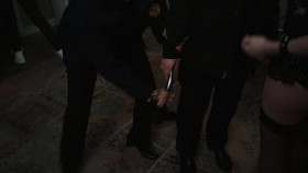 Law And Order SVU S24E16 XviD-AFG EZTV