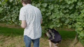Leave It to Geege S01E07 Whine Country 720p WEB h264-KOMPOST EZTV