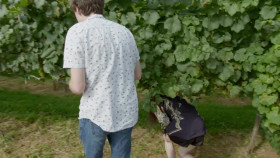 Leave It to Geege S01E07 Whine Country XviD-AFG EZTV
