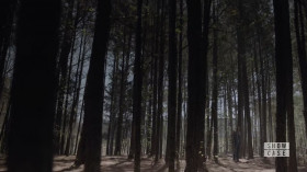 Legacies S03E14 720p HEVC x265-MeGusta EZTV