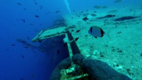 Legends of the Deep S01E01 Bermuda Triangle-The Secret Shipwreck WEBRip x264-CAFFEiNE EZTV