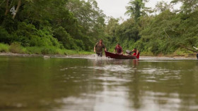 Levison Wood Walking with S01E01 Orangutans XviD-AFG EZTV