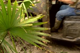 License To Drill Louisiana S01E04 WEB x264-CRiMSON EZTV