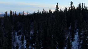 Life Below Zero Next Generation S01E06 The Ice Harvest 720p WEB-DL AAC2 0 x264-BOOP EZTV