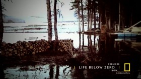 Life Below Zero S10E00 Blood In the Water 720p HDTV x264-DHD EZTV