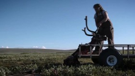 Life Below Zero S15E04 Inside Out XviD-AFG EZTV