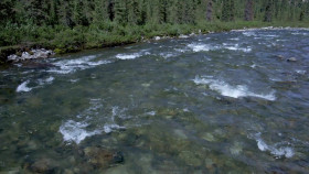 Life Below Zero S20E02 Break Up Time is Wake Up Time 1080p HULU WEB-DL DDP5 1 H264-WhiteHat EZTV