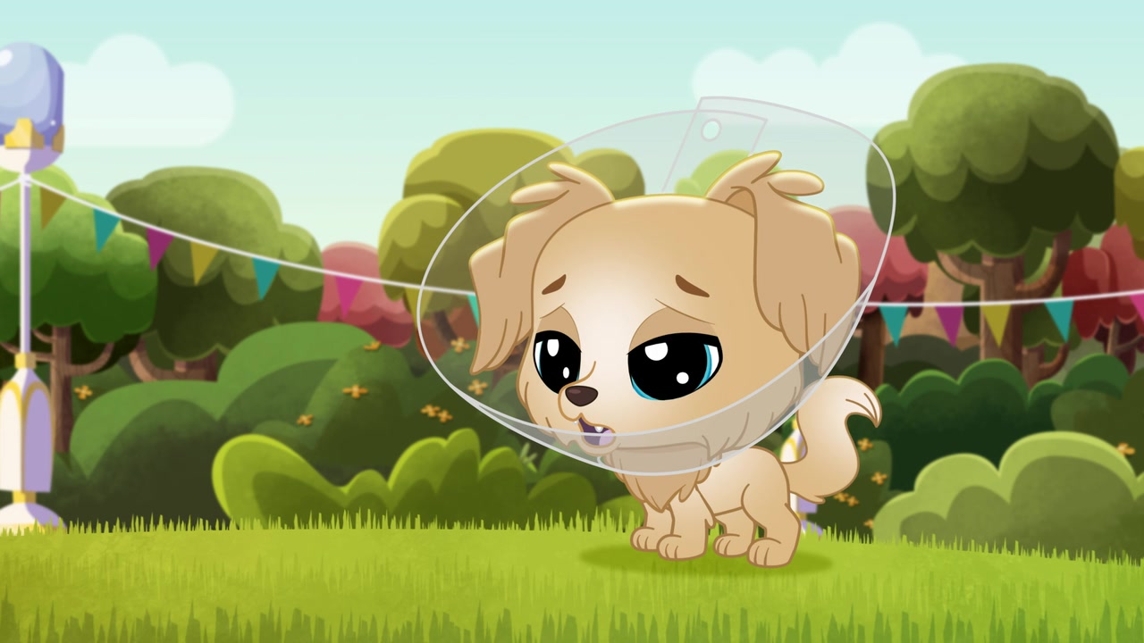Фф pet. Littlest Pet shop a World of our own. Littlest Pet shop a World of own. Littlest Pet shop a World of our own chercher. Littlest Pet shop a World of our забияки.